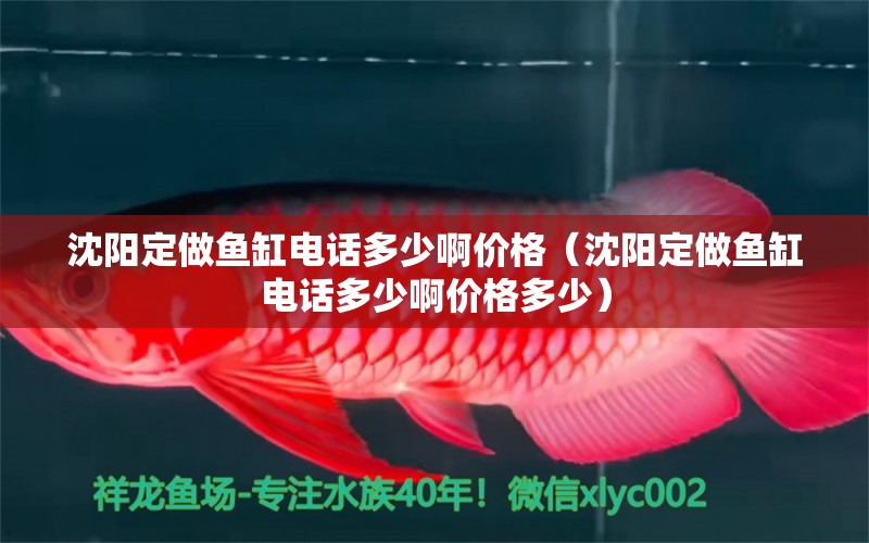 沈陽定做魚缸電話多少啊價格（沈陽定做魚缸電話多少啊價格多少） 祥龍水族醫(yī)院 第2張