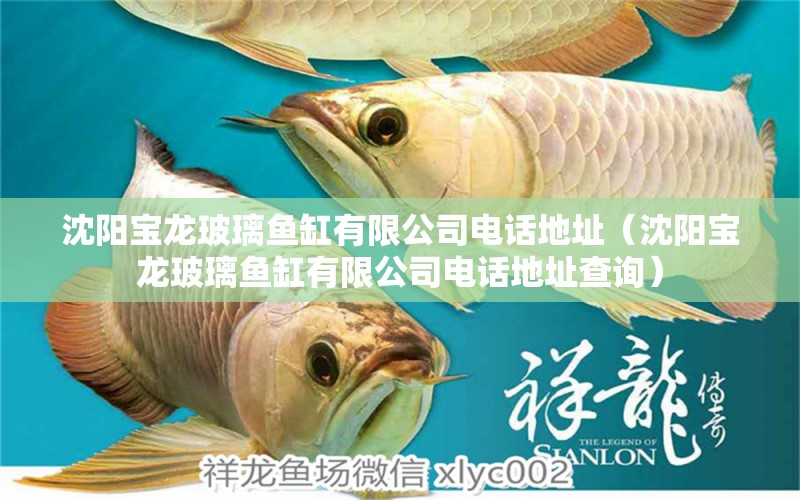 沈陽(yáng)寶龍玻璃魚(yú)缸有限公司電話地址（沈陽(yáng)寶龍玻璃魚(yú)缸有限公司電話地址查詢） 祥龍水族醫(yī)院