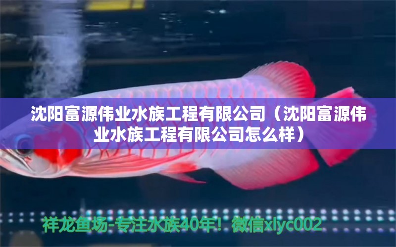 沈陽富源偉業(yè)水族工程有限公司（沈陽富源偉業(yè)水族工程有限公司怎么樣）