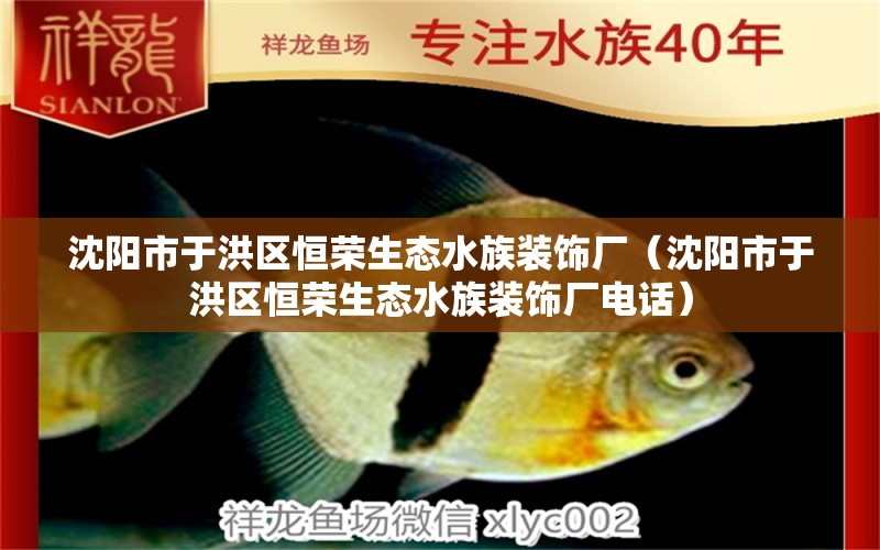 沈陽市于洪區(qū)恒榮生態(tài)水族裝飾廠（沈陽市于洪區(qū)恒榮生態(tài)水族裝飾廠電話） 全國水族館企業(yè)名錄