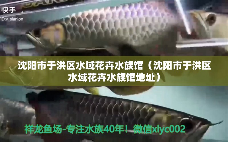 沈陽市于洪區(qū)水域花卉水族館（沈陽市于洪區(qū)水域花卉水族館地址）