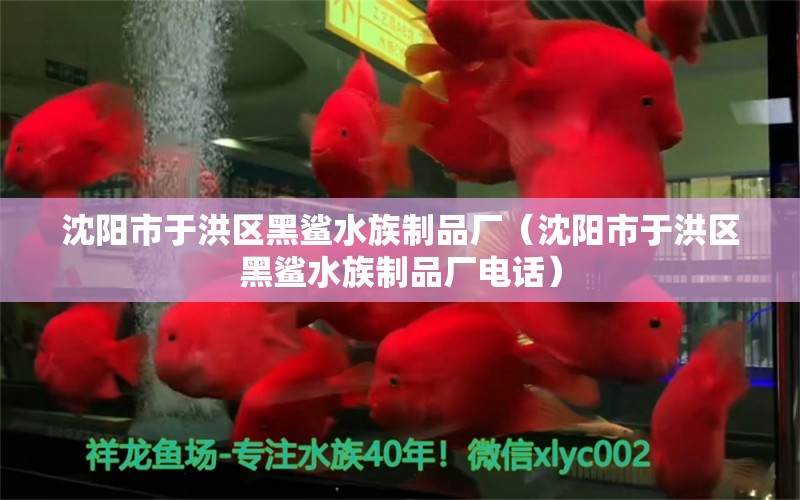 沈陽市于洪區(qū)黑鯊水族制品廠（沈陽市于洪區(qū)黑鯊水族制品廠電話） 全國水族館企業(yè)名錄