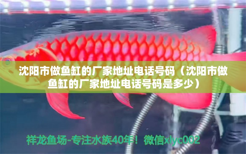 沈陽市做魚缸的廠家地址電話號碼（沈陽市做魚缸的廠家地址電話號碼是多少）