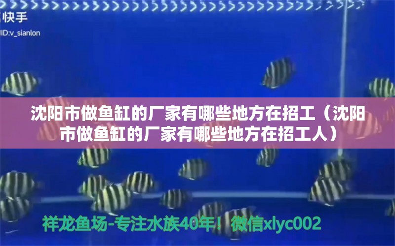 沈陽市做魚缸的廠家有哪些地方在招工（沈陽市做魚缸的廠家有哪些地方在招工人）