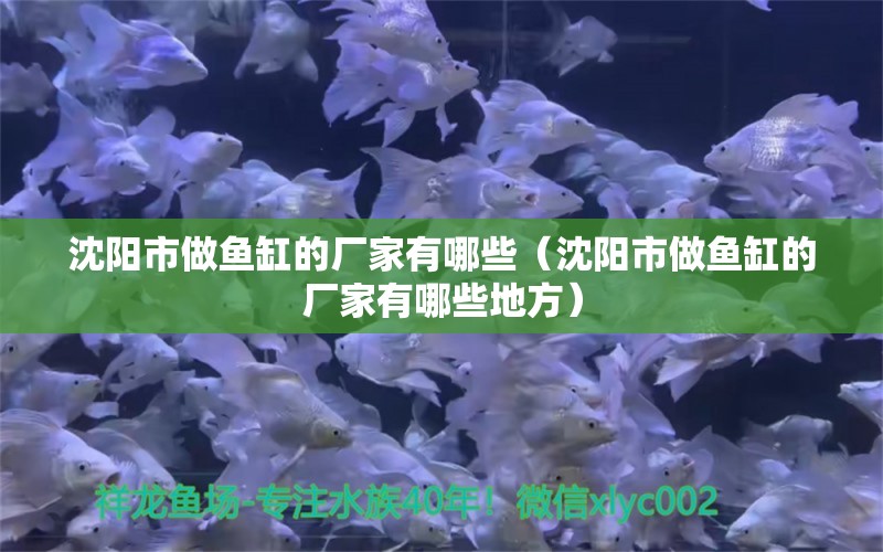 沈陽市做魚缸的廠家有哪些（沈陽市做魚缸的廠家有哪些地方） 其他品牌魚缸