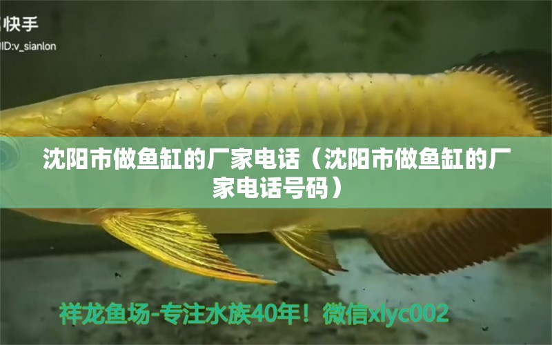 沈陽(yáng)市做魚缸的廠家電話（沈陽(yáng)市做魚缸的廠家電話號(hào)碼） 其他品牌魚缸