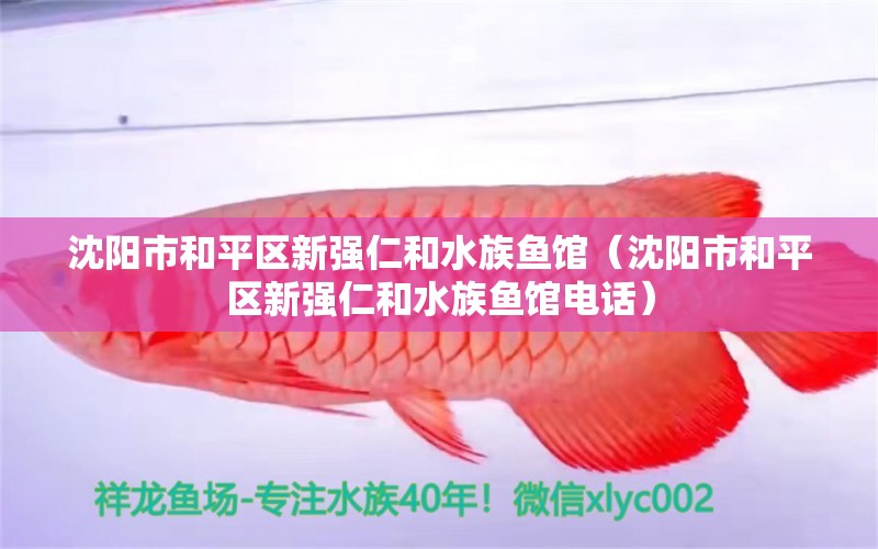 沈陽(yáng)市和平區(qū)新強(qiáng)仁和水族魚館（沈陽(yáng)市和平區(qū)新強(qiáng)仁和水族魚館電話）