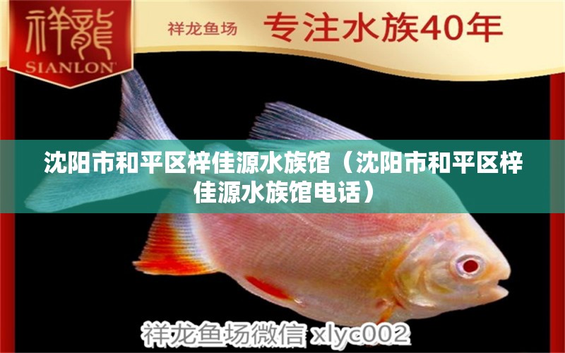 沈陽市和平區(qū)梓佳源水族館（沈陽市和平區(qū)梓佳源水族館電話）