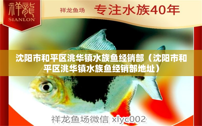 沈陽(yáng)市和平區(qū)洮華鎮(zhèn)水族魚經(jīng)銷部（沈陽(yáng)市和平區(qū)洮華鎮(zhèn)水族魚經(jīng)銷部地址）