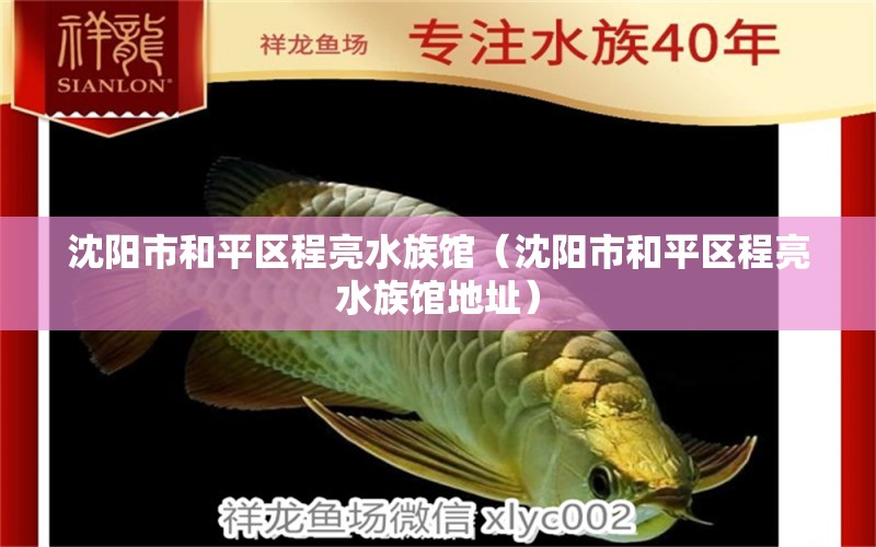 沈陽市和平區(qū)程亮水族館（沈陽市和平區(qū)程亮水族館地址）