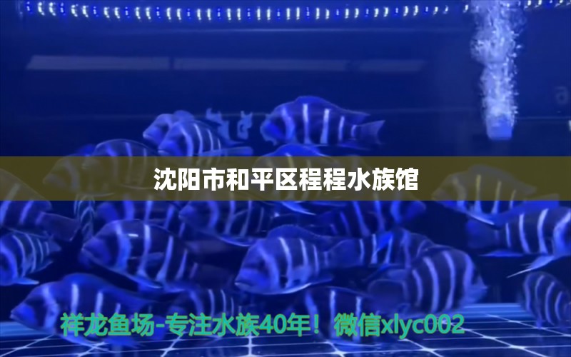 沈陽(yáng)市和平區(qū)程程水族館