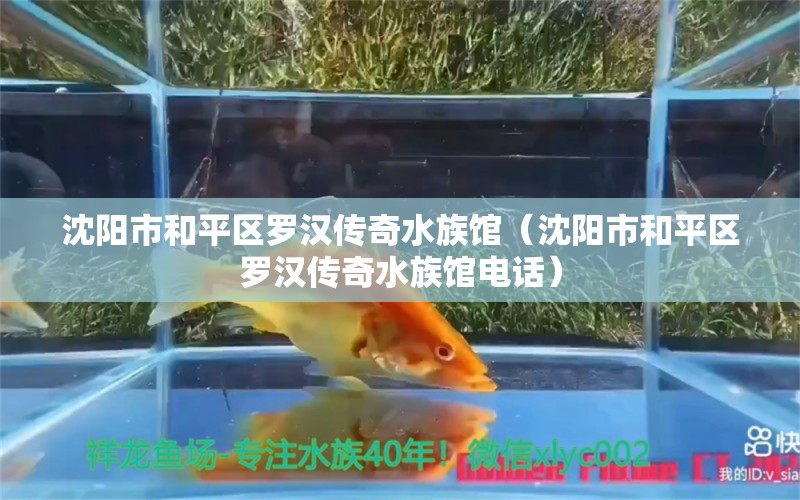 沈陽市和平區(qū)羅漢傳奇水族館（沈陽市和平區(qū)羅漢傳奇水族館電話）