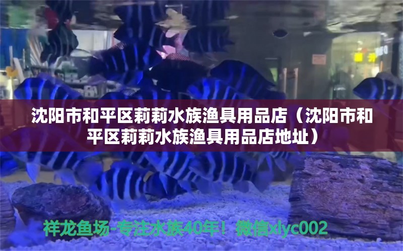 沈陽(yáng)市和平區(qū)莉莉水族漁具用品店（沈陽(yáng)市和平區(qū)莉莉水族漁具用品店地址）