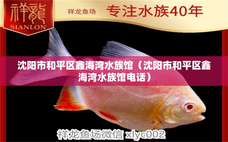 沈陽(yáng)市和平區(qū)鑫海灣水族館（沈陽(yáng)市和平區(qū)鑫海灣水族館電話）