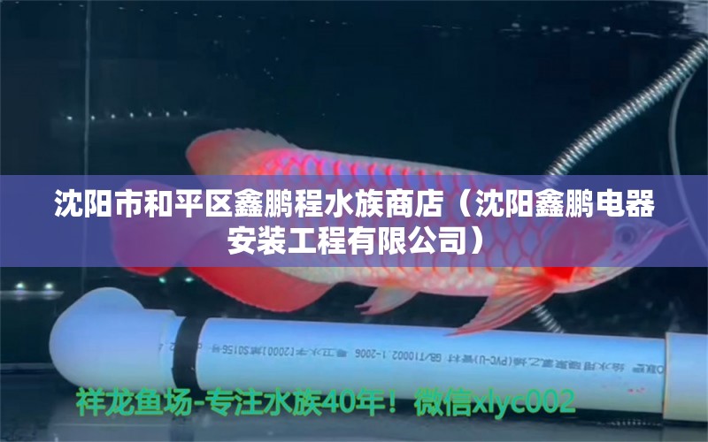 沈陽市和平區(qū)鑫鵬程水族商店（沈陽鑫鵬電器安裝工程有限公司） 全國水族館企業(yè)名錄