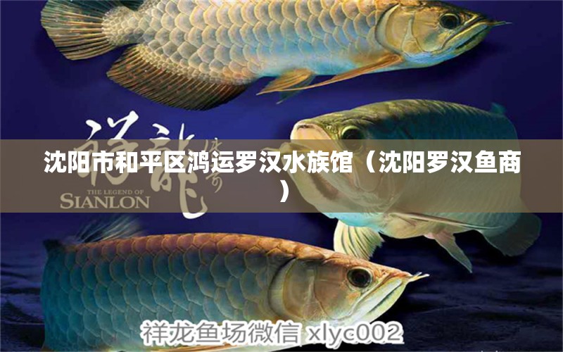 沈陽(yáng)市和平區(qū)鴻運(yùn)羅漢水族館（沈陽(yáng)羅漢魚商）