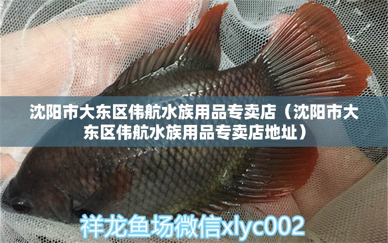 沈陽市大東區(qū)偉航水族用品專賣店（沈陽市大東區(qū)偉航水族用品專賣店地址）