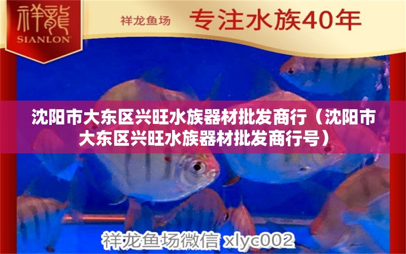 沈陽市大東區(qū)興旺水族器材批發(fā)商行（沈陽市大東區(qū)興旺水族器材批發(fā)商行號） 全國水族館企業(yè)名錄