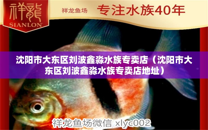 沈陽市大東區(qū)劉波鑫淼水族專賣店（沈陽市大東區(qū)劉波鑫淼水族專賣店地址）