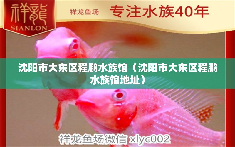 沈陽市大東區(qū)程鵬水族館（沈陽市大東區(qū)程鵬水族館地址）