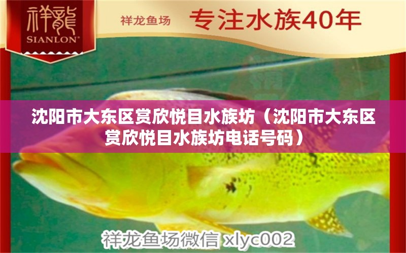 沈陽市大東區(qū)賞欣悅目水族坊（沈陽市大東區(qū)賞欣悅目水族坊電話號碼）