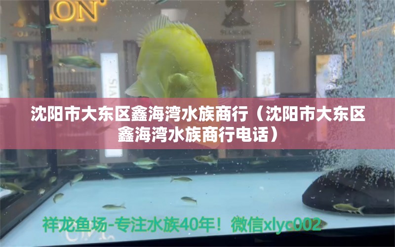 沈陽市大東區(qū)鑫海灣水族商行（沈陽市大東區(qū)鑫海灣水族商行電話） 全國水族館企業(yè)名錄