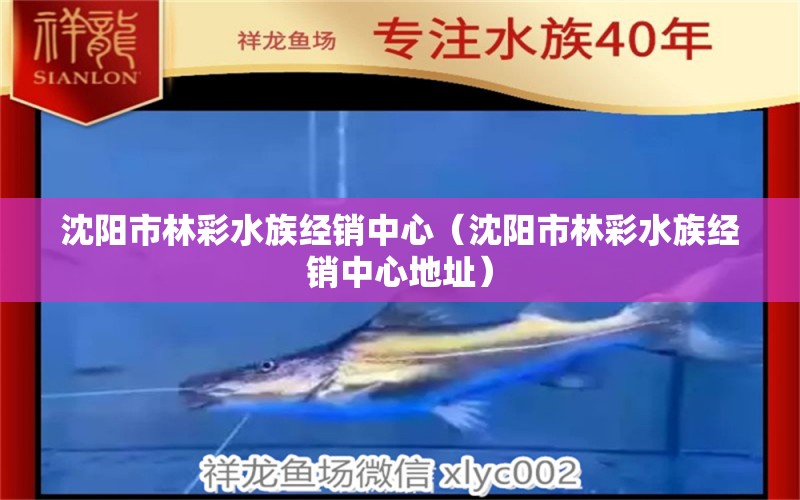 沈陽市林彩水族經(jīng)銷中心（沈陽市林彩水族經(jīng)銷中心地址）