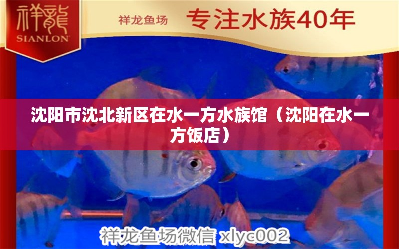 沈陽市沈北新區(qū)在水一方水族館（沈陽在水一方飯店） 一方水族