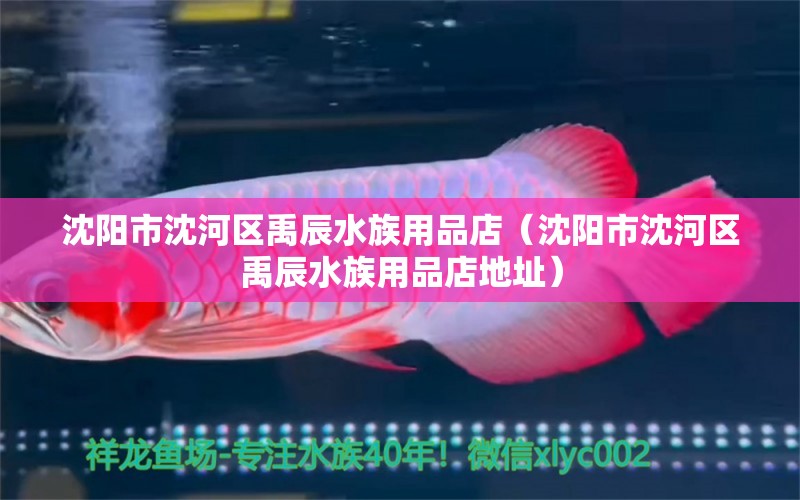 沈陽市沈河區(qū)禹辰水族用品店（沈陽市沈河區(qū)禹辰水族用品店地址） 水族用品