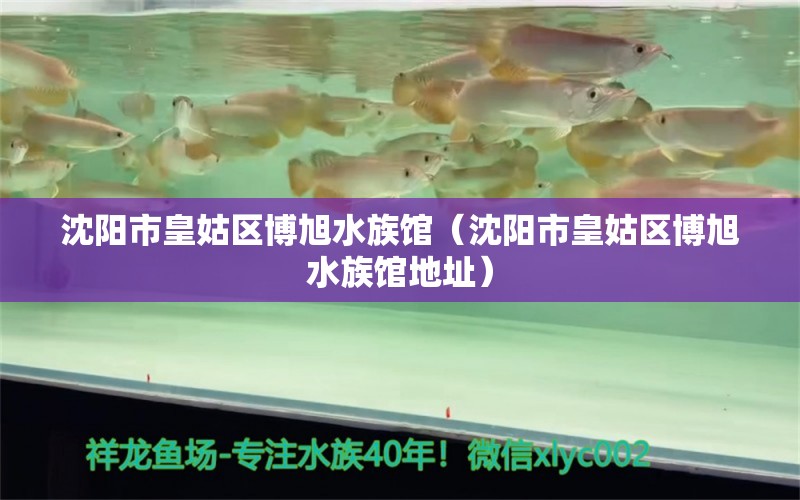 沈陽(yáng)市皇姑區(qū)博旭水族館（沈陽(yáng)市皇姑區(qū)博旭水族館地址） 全國(guó)水族館企業(yè)名錄