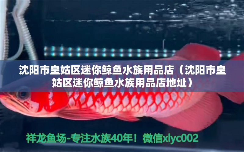 沈陽市皇姑區(qū)迷你鯨魚水族用品店（沈陽市皇姑區(qū)迷你鯨魚水族用品店地址）