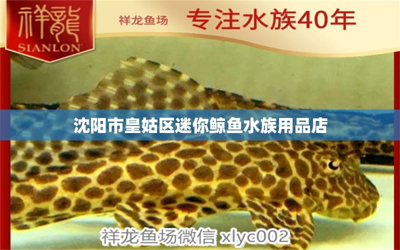 沈陽(yáng)市皇姑區(qū)迷你鯨魚(yú)水族用品店