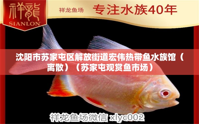 沈陽市蘇家屯區(qū)解放街道宏偉熱帶魚水族館（離散）（蘇家屯觀賞魚市場）