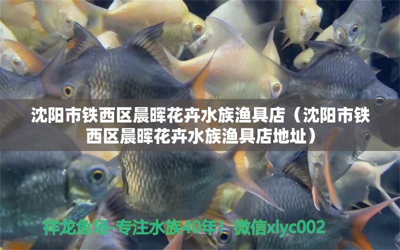 沈陽(yáng)市鐵西區(qū)晨暉花卉水族漁具店（沈陽(yáng)市鐵西區(qū)晨暉花卉水族漁具店地址）