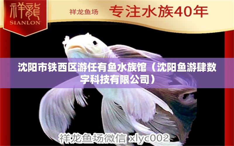 沈陽(yáng)市鐵西區(qū)游任有魚(yú)水族館（沈陽(yáng)魚(yú)游肆數(shù)字科技有限公司）