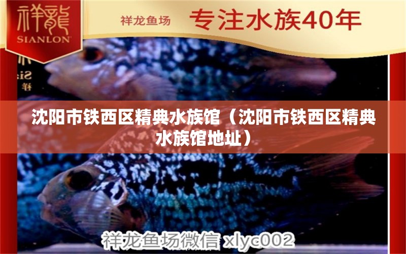 沈陽市鐵西區(qū)精典水族館（沈陽市鐵西區(qū)精典水族館地址）