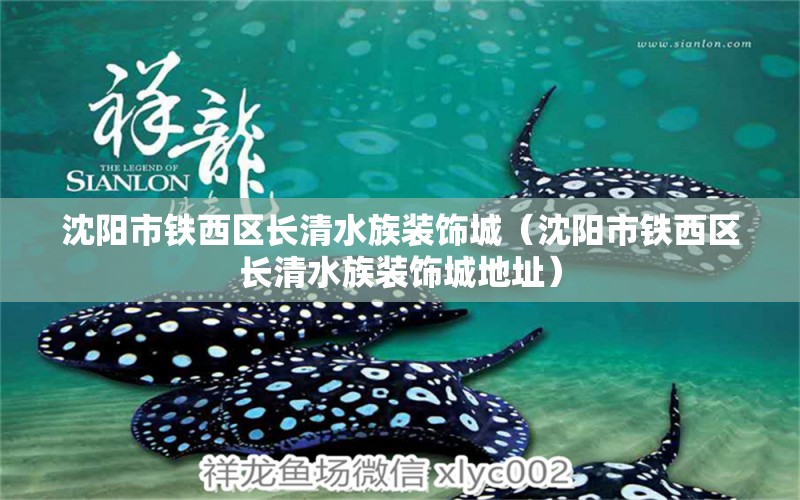 沈陽市鐵西區(qū)長清水族裝飾城（沈陽市鐵西區(qū)長清水族裝飾城地址）