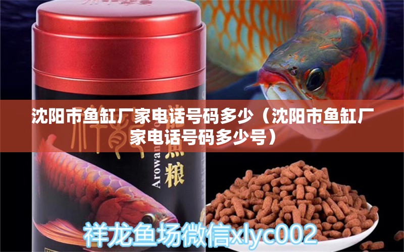 沈陽市魚缸廠家電話號碼多少（沈陽市魚缸廠家電話號碼多少號）