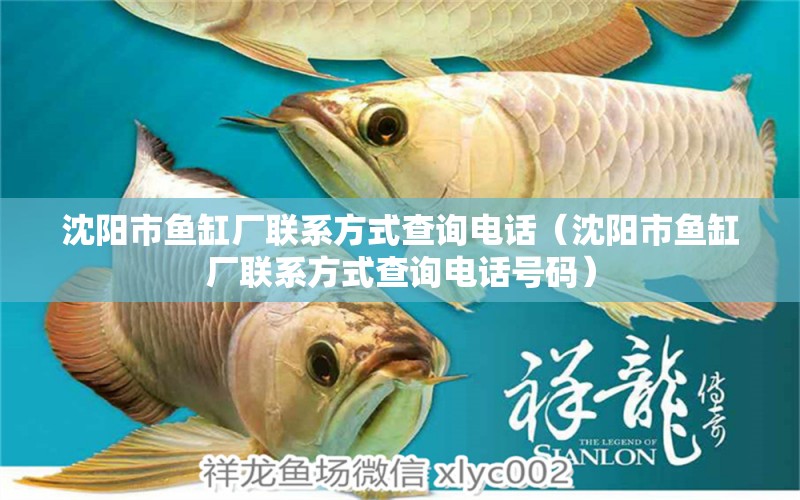 沈陽(yáng)市魚(yú)缸廠聯(lián)系方式查詢電話（沈陽(yáng)市魚(yú)缸廠聯(lián)系方式查詢電話號(hào)碼）