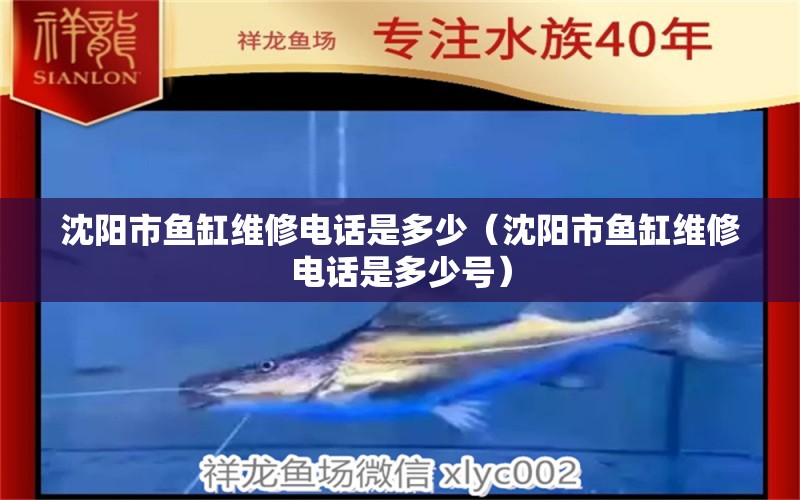 沈陽(yáng)市魚(yú)缸維修電話是多少（沈陽(yáng)市魚(yú)缸維修電話是多少號(hào)）