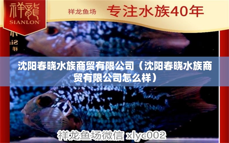 沈陽(yáng)春曉水族商貿(mào)有限公司（沈陽(yáng)春曉水族商貿(mào)有限公司怎么樣） 全國(guó)水族館企業(yè)名錄