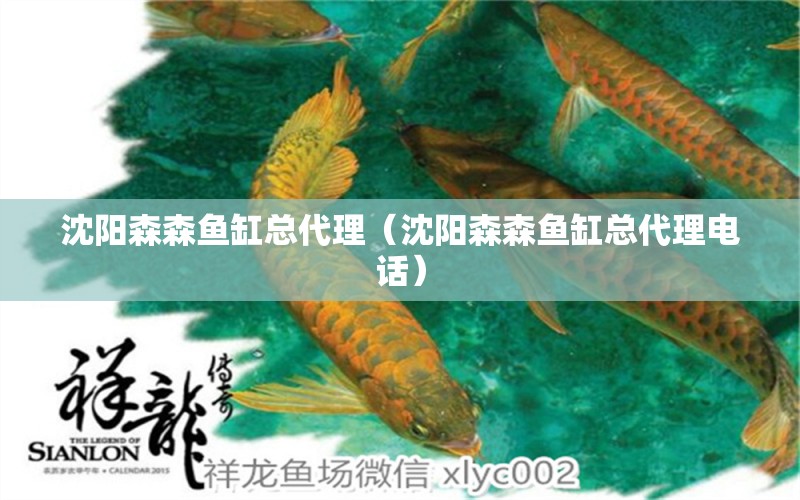 沈陽(yáng)森森魚(yú)缸總代理（沈陽(yáng)森森魚(yú)缸總代理電話）