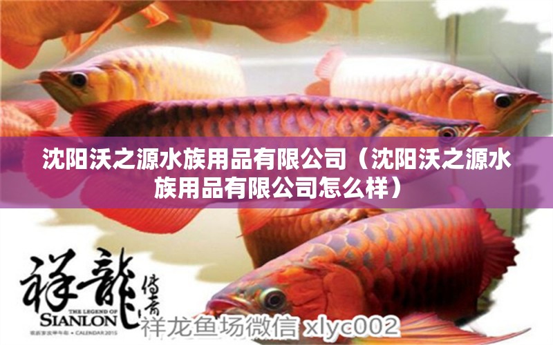 沈陽沃之源水族用品有限公司（沈陽沃之源水族用品有限公司怎么樣） 水族用品