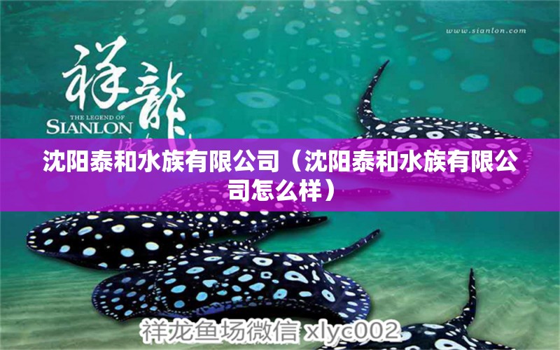 沈陽泰和水族有限公司（沈陽泰和水族有限公司怎么樣） 全國水族館企業(yè)名錄