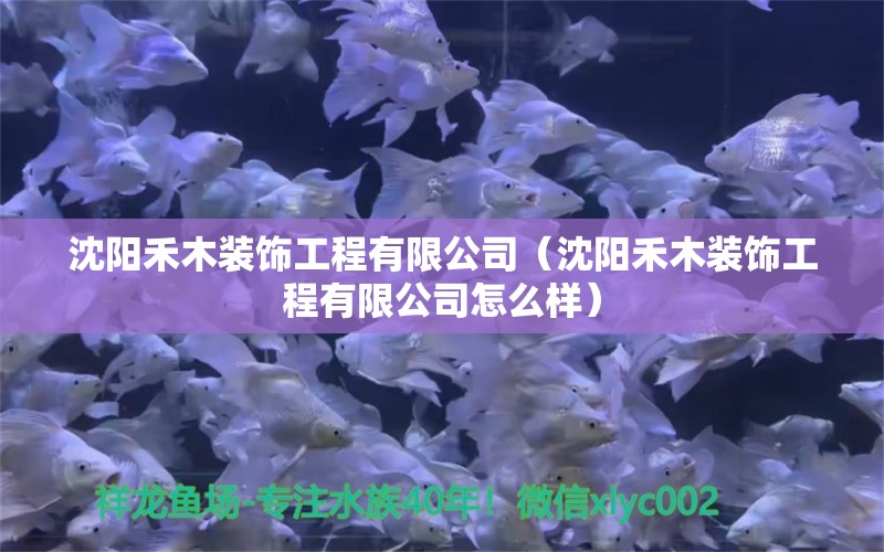 沈陽禾木裝飾工程有限公司（沈陽禾木裝飾工程有限公司怎么樣）