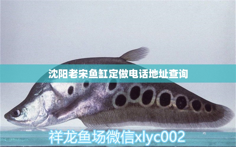 沈陽(yáng)老宋魚(yú)缸定做電話地址查詢