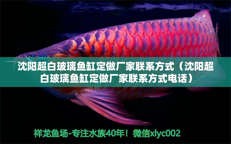 沈陽(yáng)超白玻璃魚(yú)缸定做廠家聯(lián)系方式（沈陽(yáng)超白玻璃魚(yú)缸定做廠家聯(lián)系方式電話）