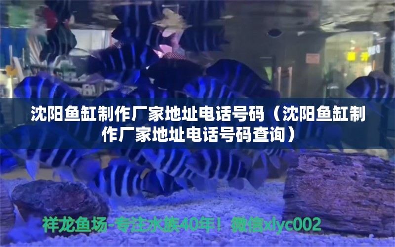 沈陽魚缸制作廠家地址電話號碼（沈陽魚缸制作廠家地址電話號碼查詢）