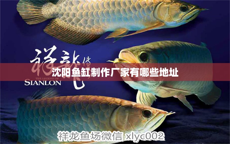 沈陽魚缸制作廠家有哪些地址 祥龍魚場