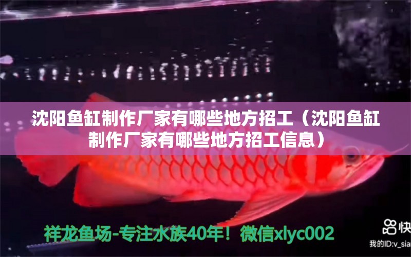 沈陽魚缸制作廠家有哪些地方招工（沈陽魚缸制作廠家有哪些地方招工信息）